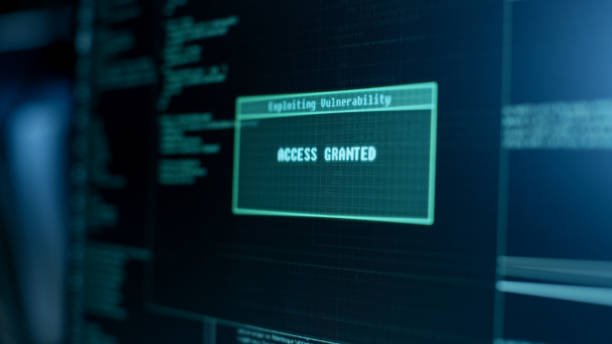 network vulnerability testing